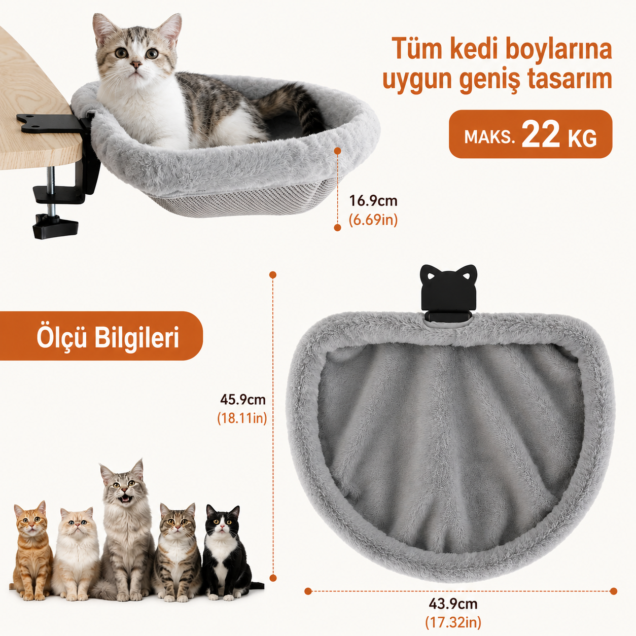 En Yakın Arkadaşını Yanında Tut